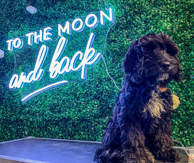 To The Moon and Back LED Neon Sign light up sign