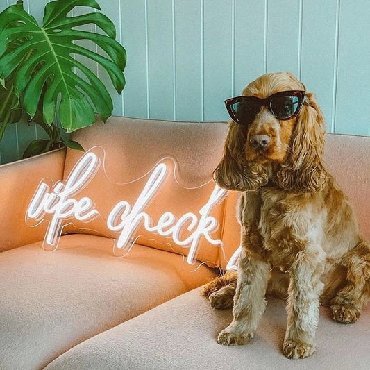 Vibe Ckek Neon Sign