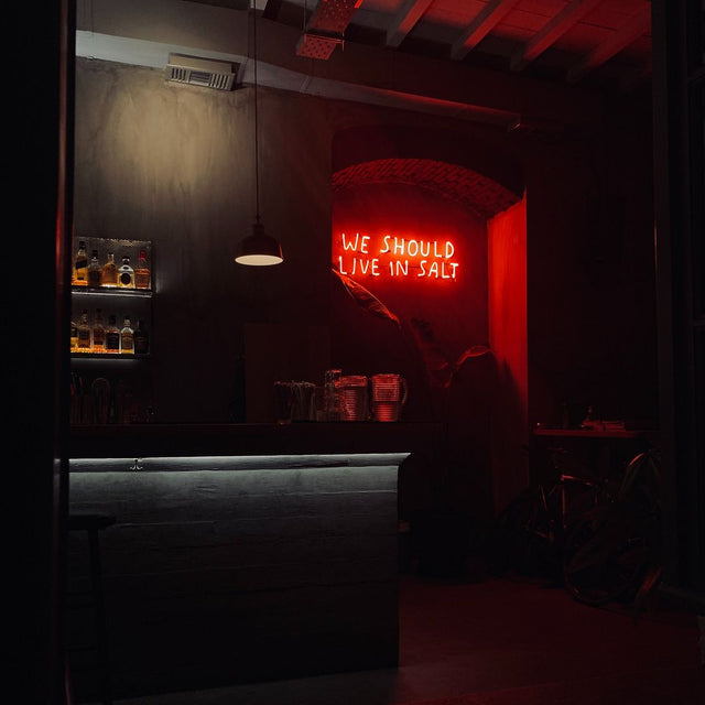 We Should Live In Salt LED Neon Sign light up sign