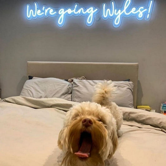 We're Going Wyles Neon Sign