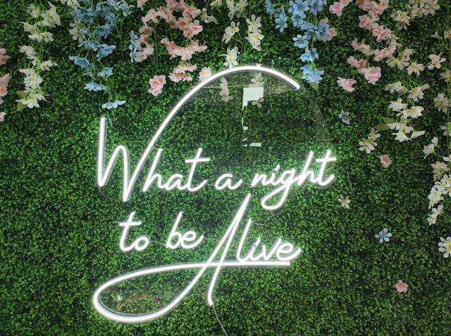 What a Night to Be Alive LED Neon Sign light up sign