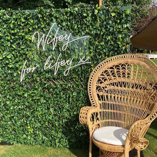 Wifey for Lifey Neon Signs, Neon Lights, LED Neon Signs for Room, Bars Light Up Signs, Cool Neon Light Signs, Neon Wall Lights
