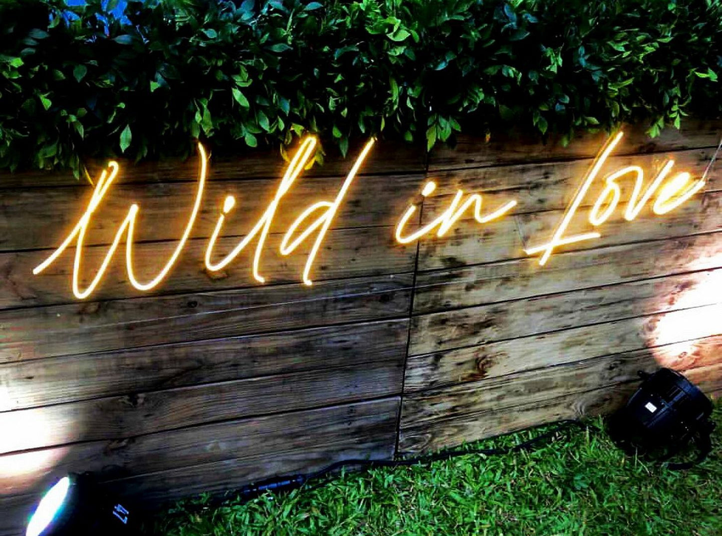 Wild in Love Neon Sign