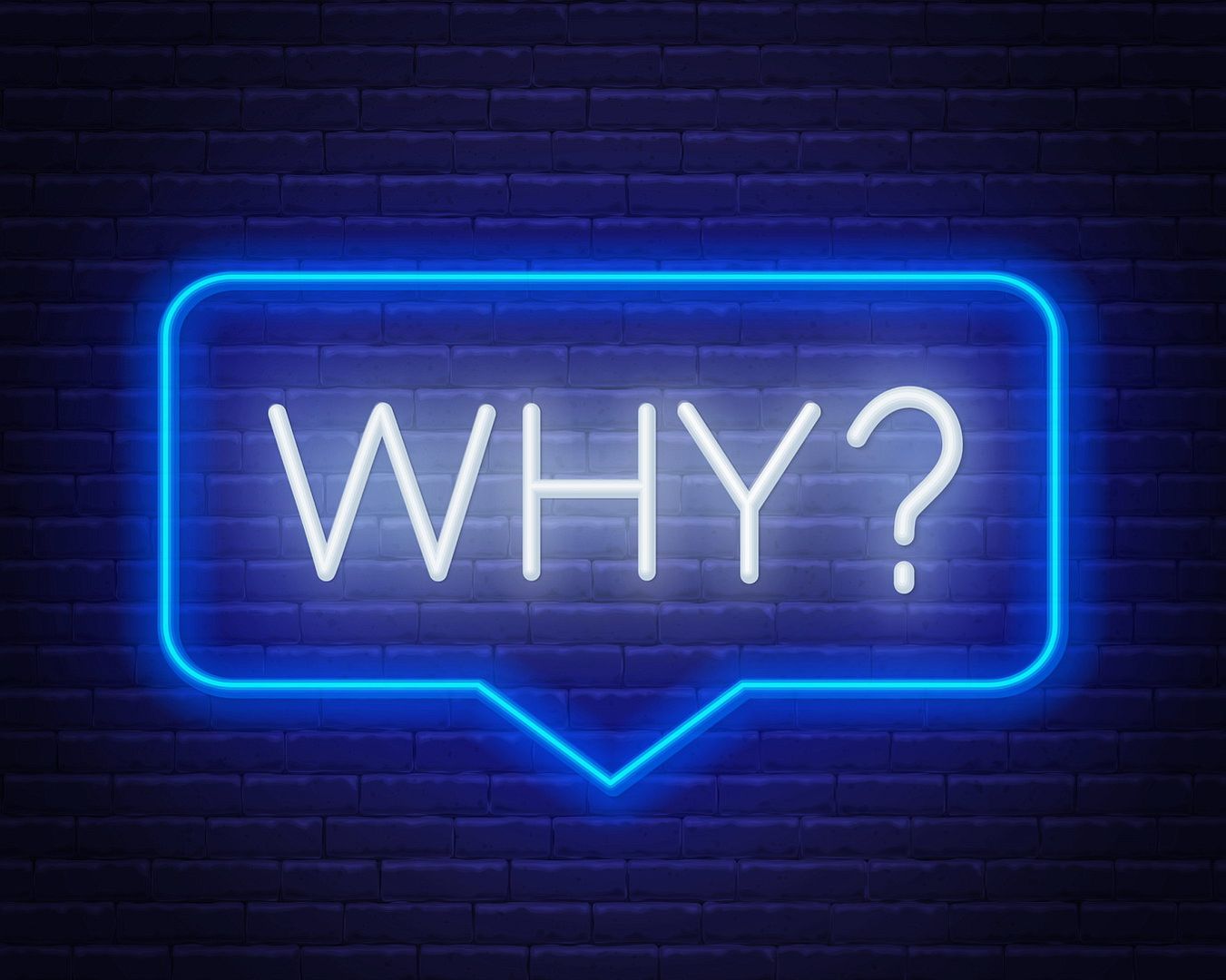 Word Why in Bubble Frame Neon Sign