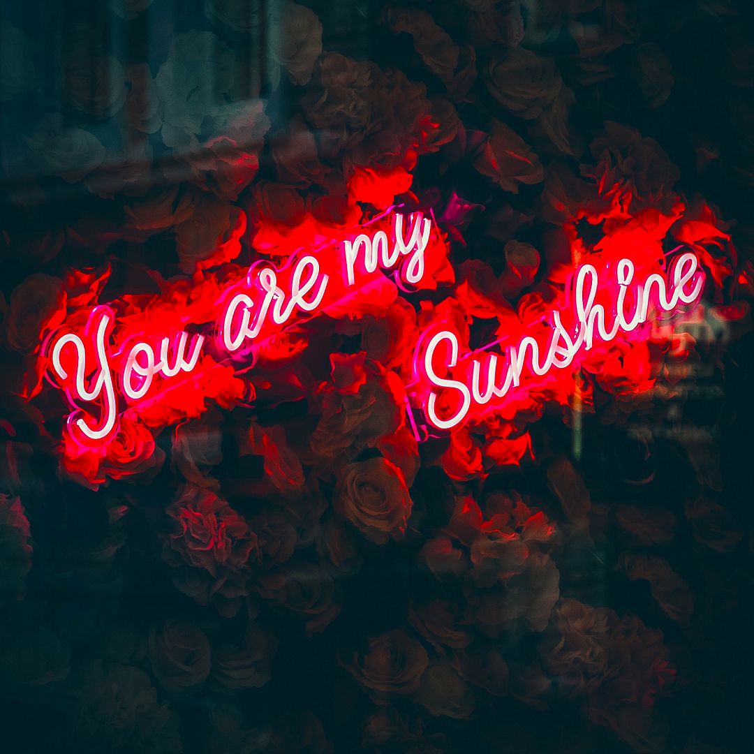 You Are My Sunshine Neon Art Sign for Wall Sign