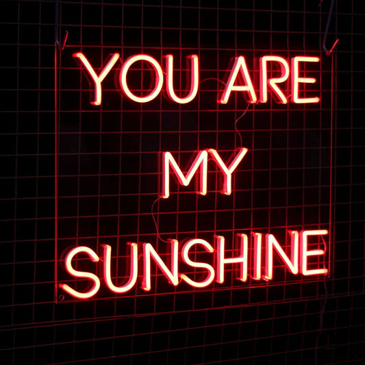 You Are My Sunshine Neon Sign