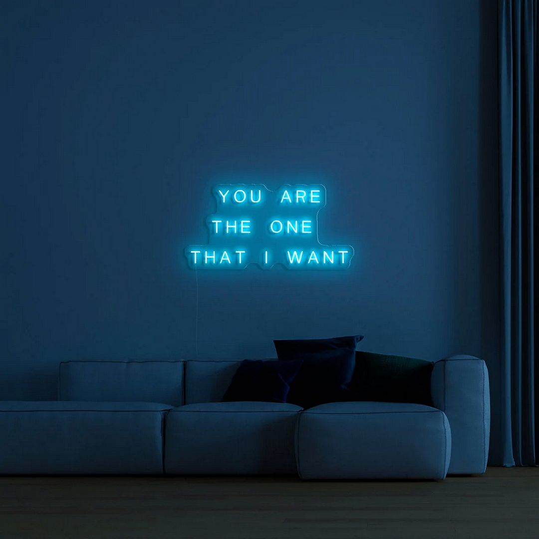 You Are The One That i Want Neon Sign