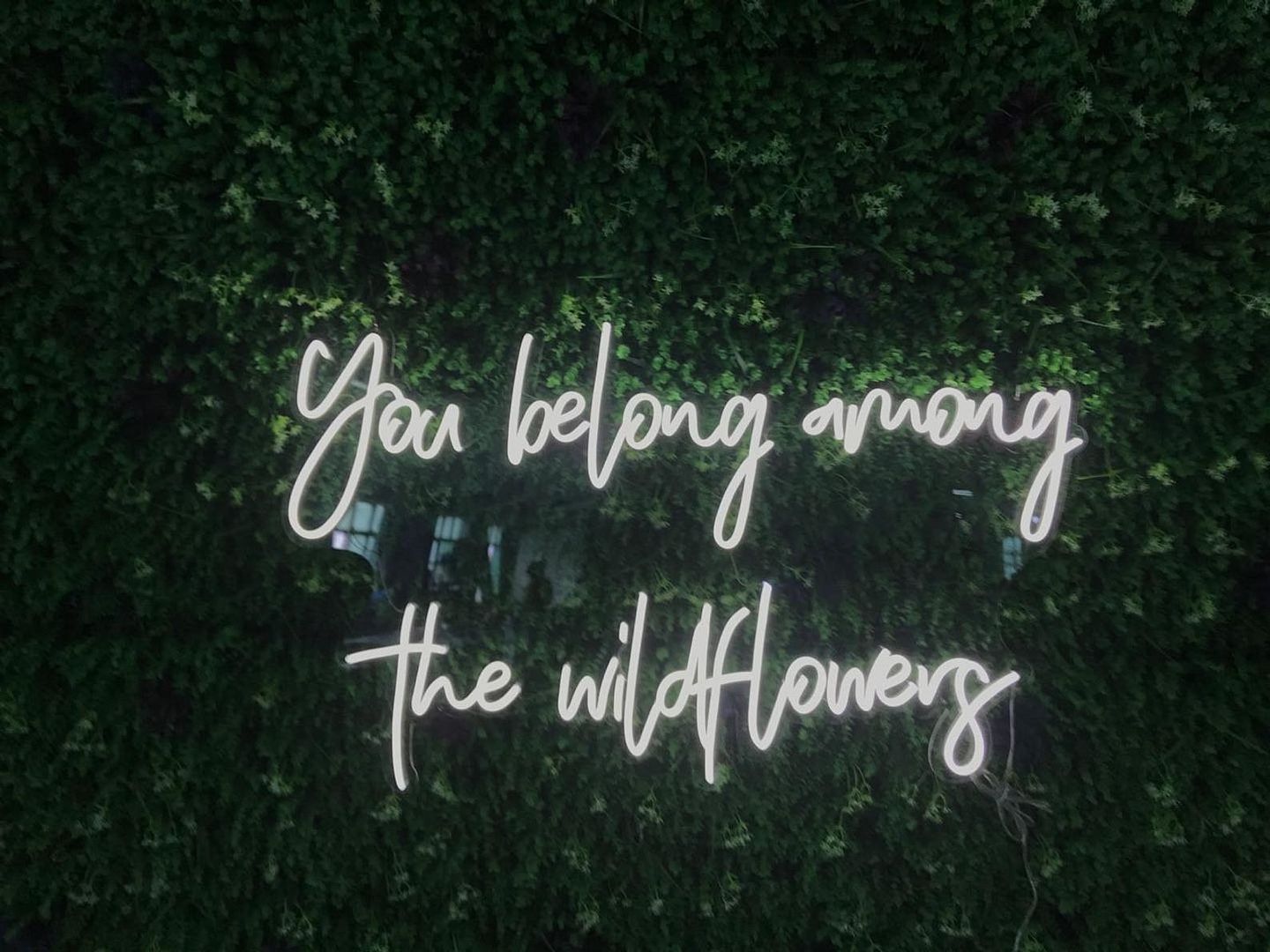 You Belong Among The Wildflowers Neon Sign