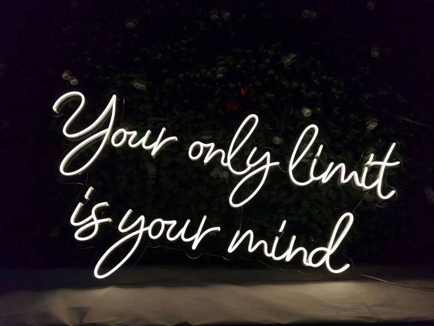 You Only Limit is Your Mind Neon Sign
