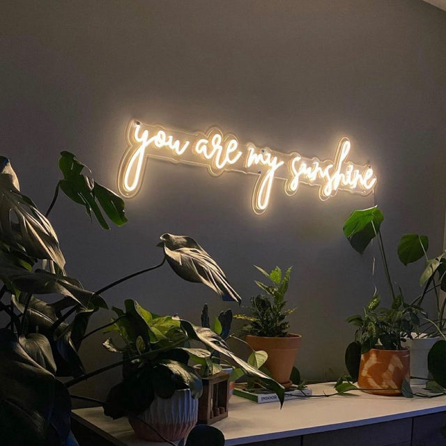 You are My Sunshine LED Neon Sign light up sign
